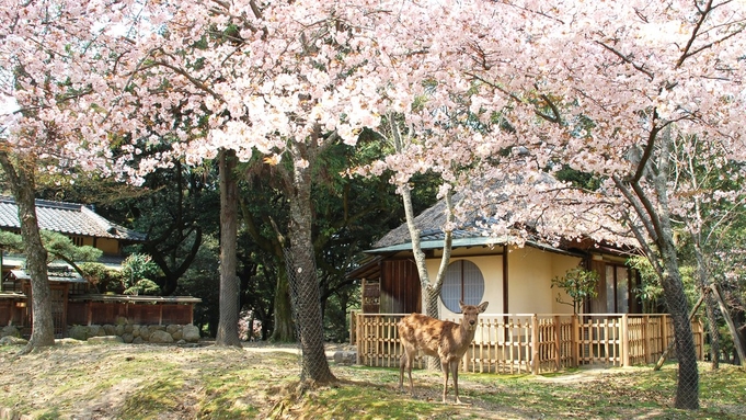 【部屋食】一歩出れば奈良公園　会席料理を味わう宿泊プラン
